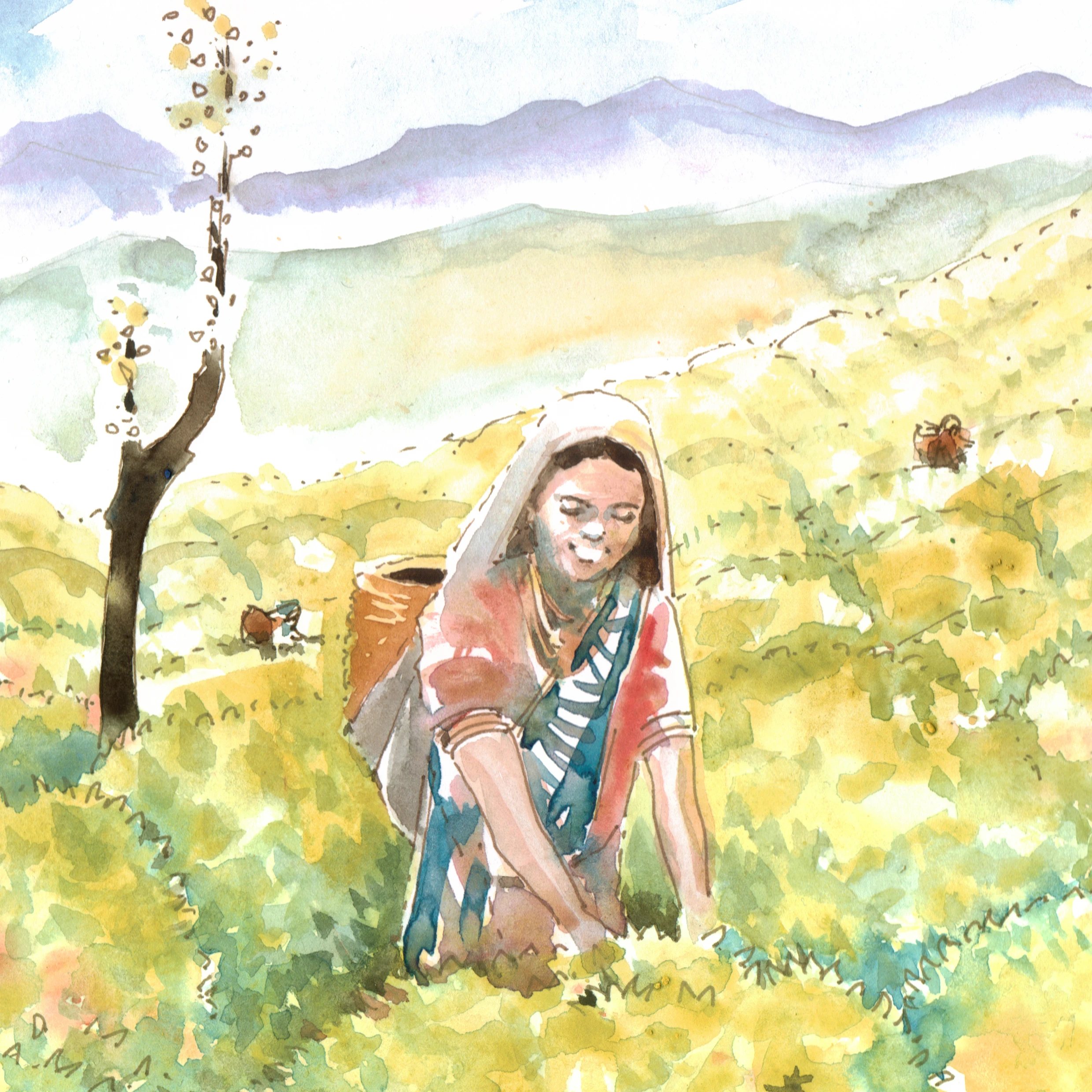 tee aquarell 1:! format