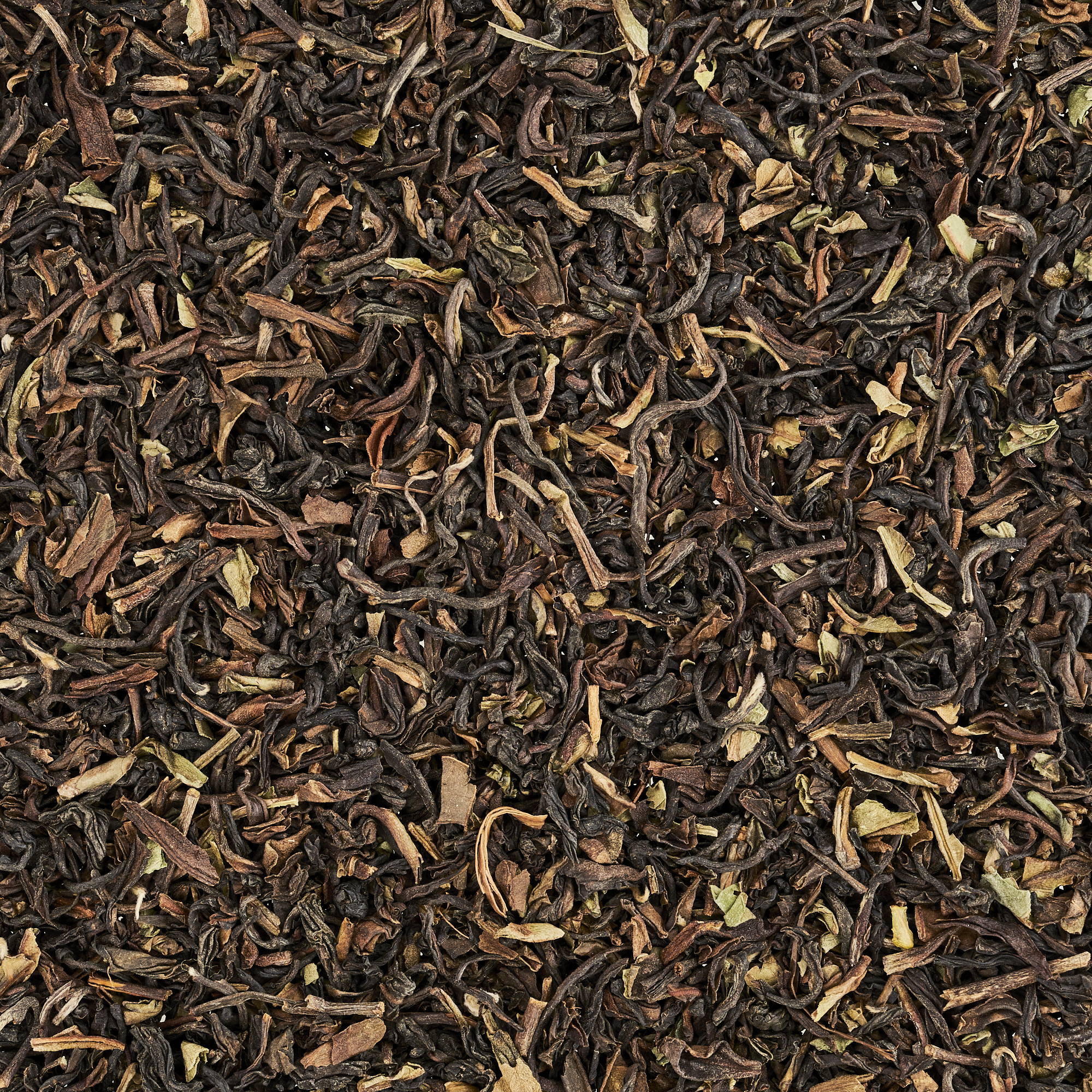 Schlürf - Beutel - No. 01 Bio Darjeeling Fritjof (225 g)