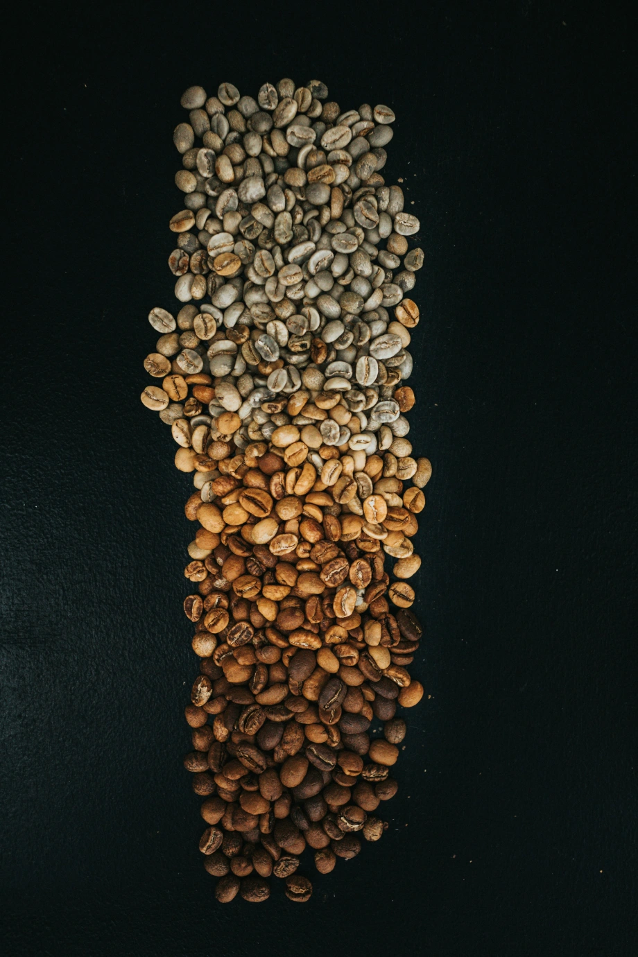 Kaffeebohnen in verschiedenen Röstgraden und getrocknete Jaffeebohnen