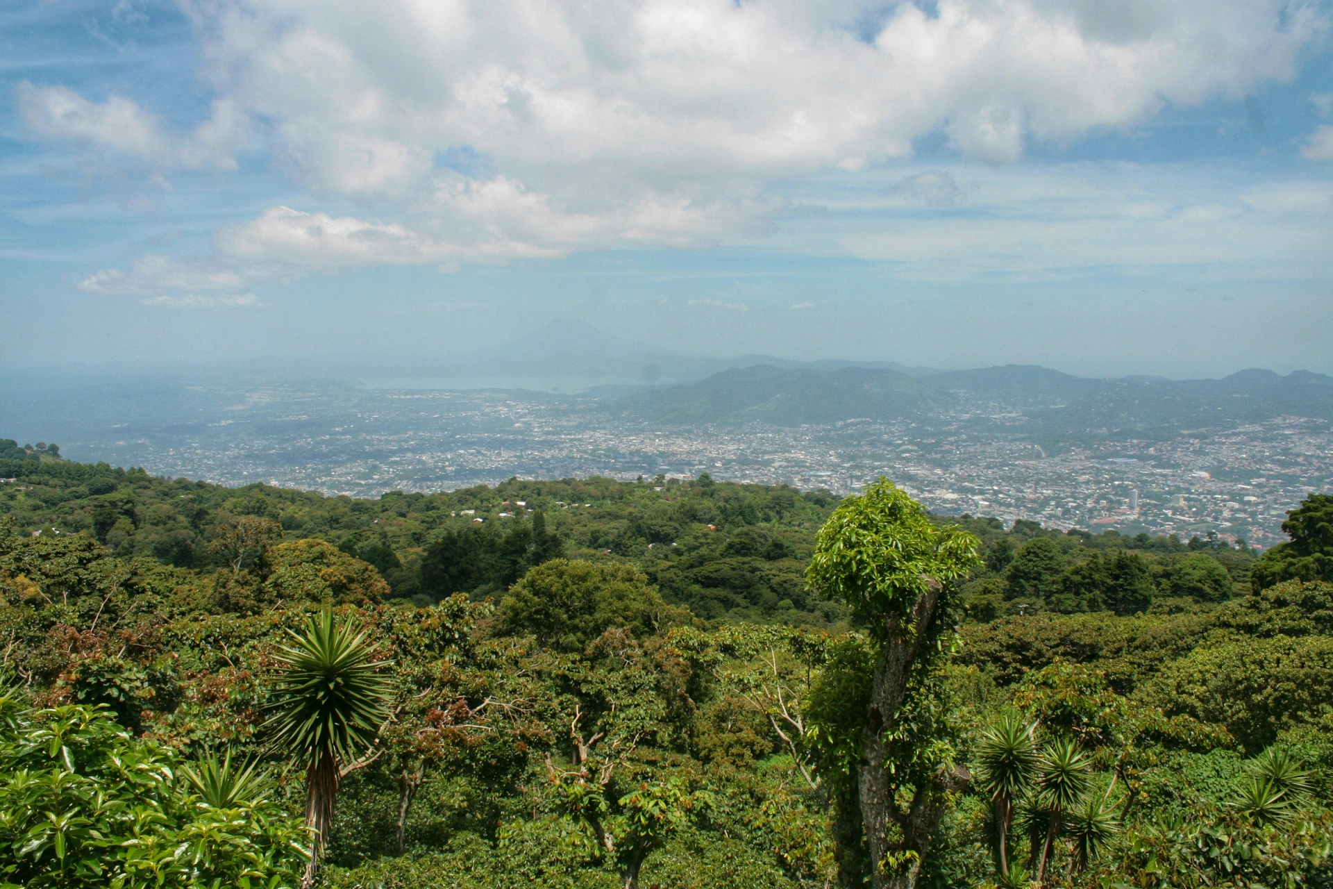 Ausblick über El Salvador