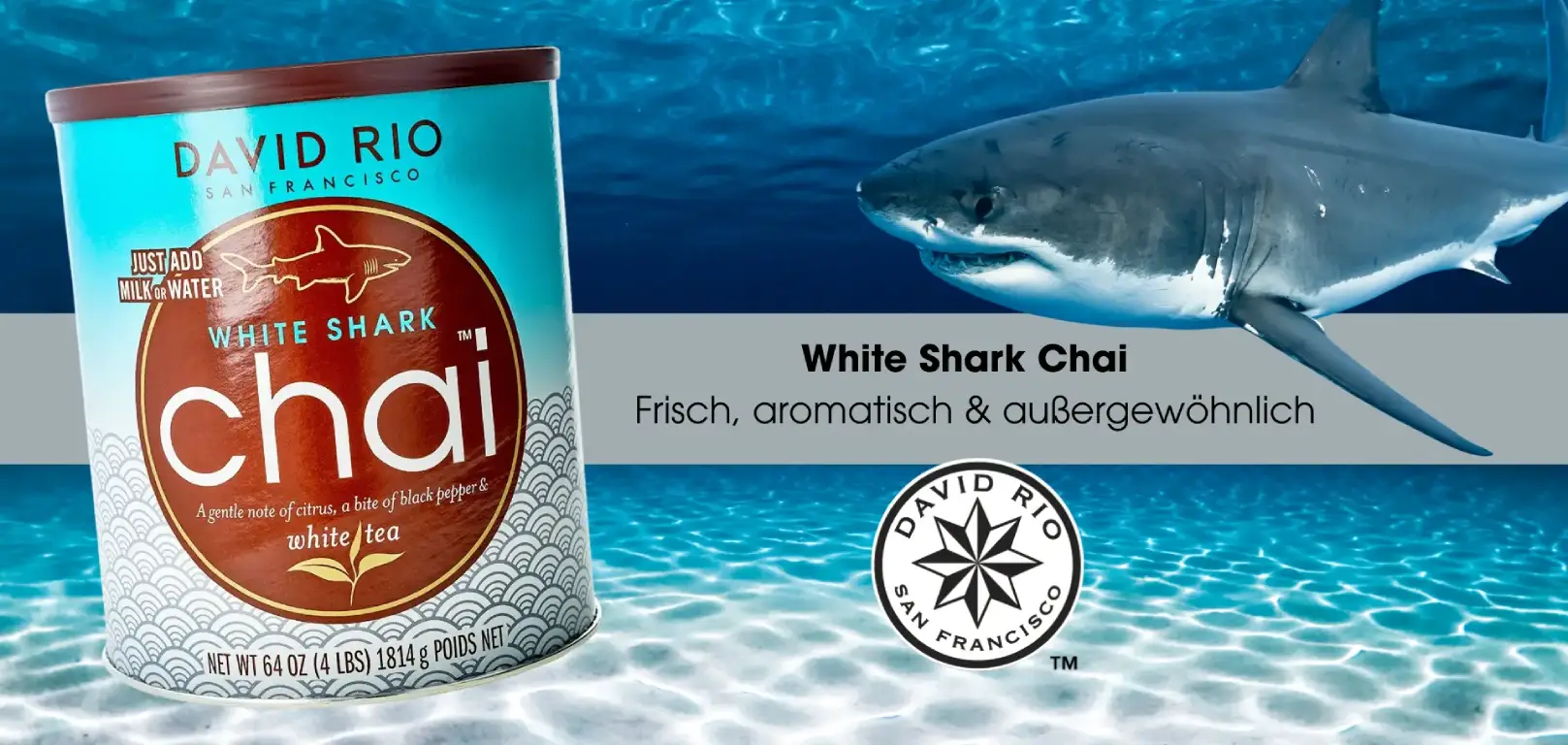 White Shark Chai Dose