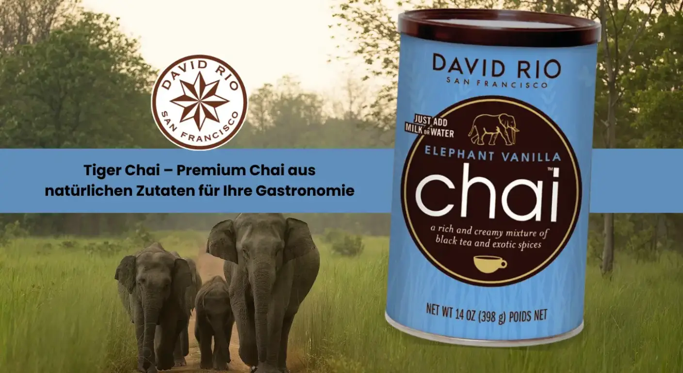 David Rio Elefant Chai