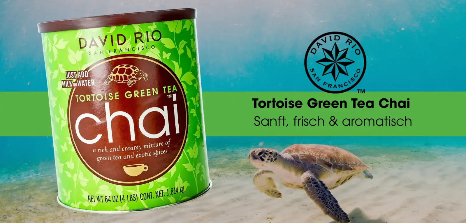 David Rio Tortoise Tortoise Green Tea Chai – Leichter Premium Chai für Gastronomie
