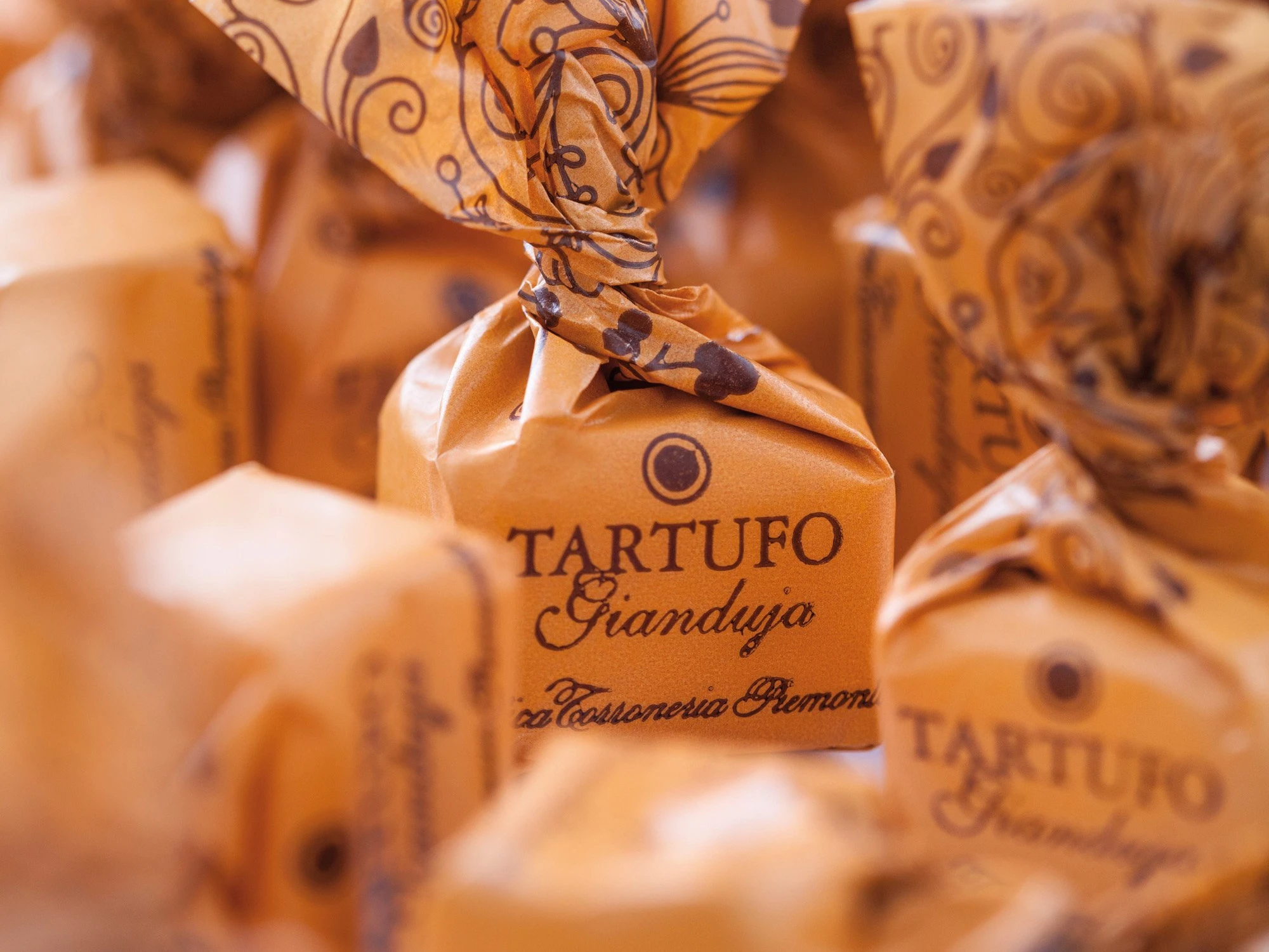 Antica Tortufo gianduja close up