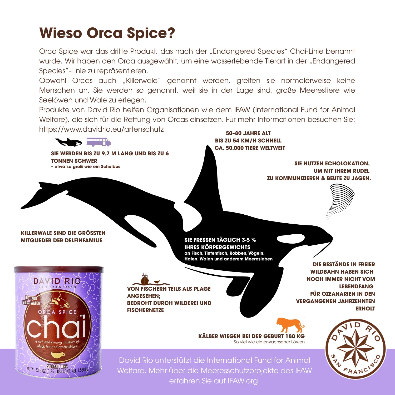 Infos Orcas Chai Dose