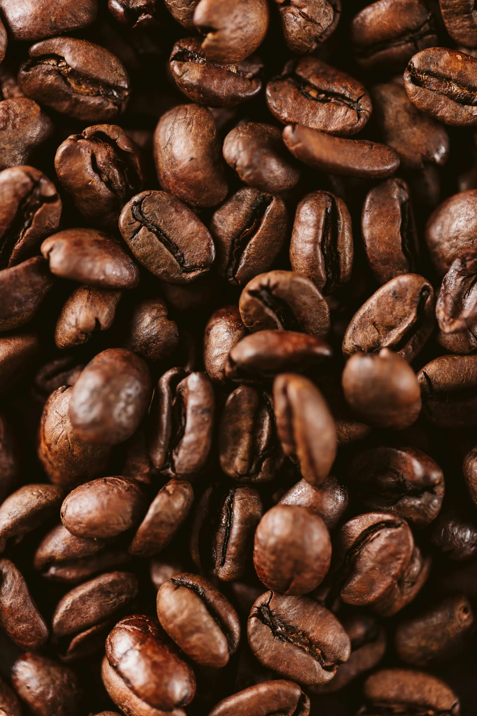 Kaffeebohnen Nahaufnahme